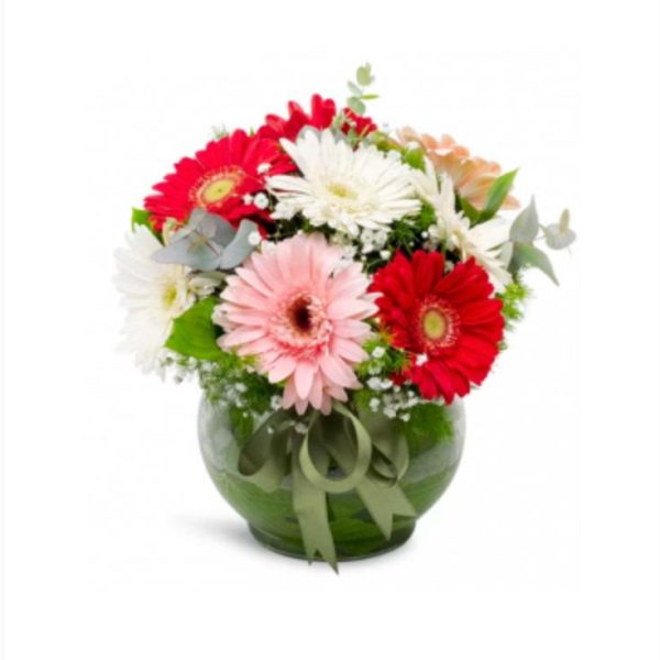 Vazoda Renkli Gerbera