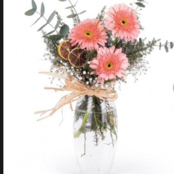 Vazoda pembe Gerbera