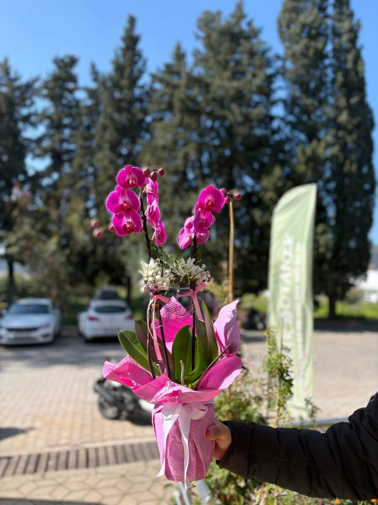 WhatsApp Image 2026 03 05 at 10.43.08