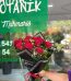 WhatsApp Image 2026 08 24 at 12.44.57 2